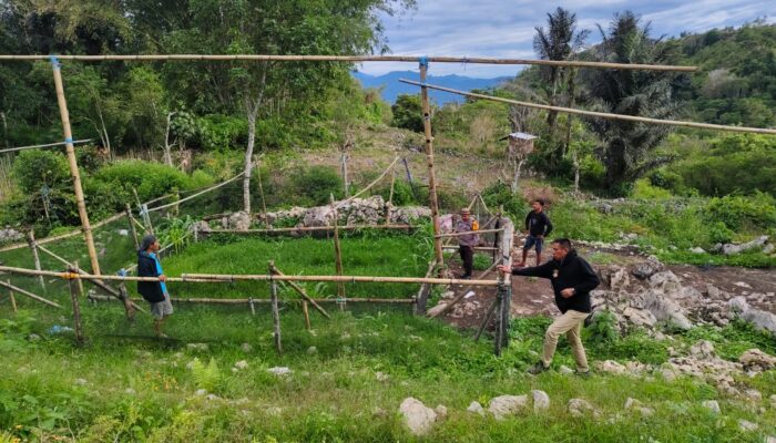 Kapolres Enrekang Respons Cepat Informasi Warga, Tegaskan Komitmen Berantas Judi Sabung Ayam