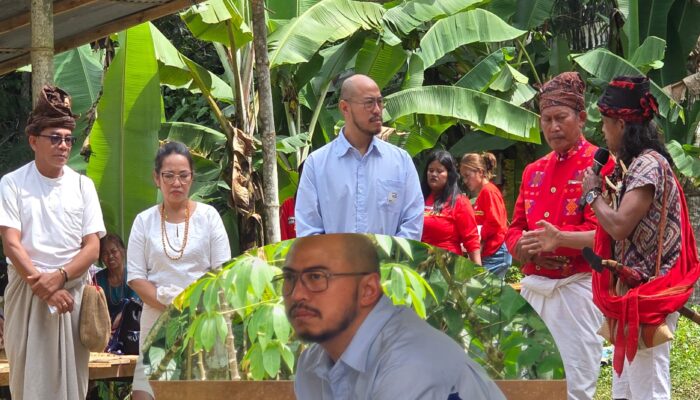 Dianggap Hina Adat dan Budaya Toraja, Pandji Hanya Didenda Satu Babi dan Lima Ayam