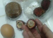 Rambutan Busuk Lolos ke Menu MBG, SPPG Tambunan Akui Sedikit Lalai