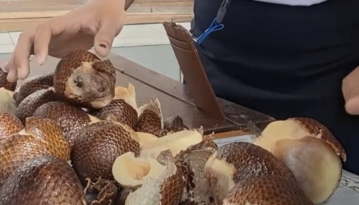 Enam Bulan Disanksi Gegara Salak Busuk, SPPG Pantan Siap Kembali Beroperasi