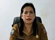 Yosefina Rombetasik, Kepala Dinas Kesehatan Tana Toraja