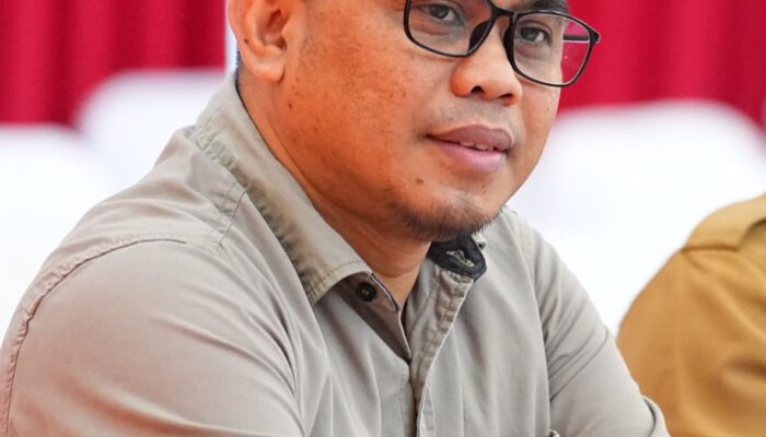 1.400 Kilometer Jalan vs Pohon Pisang, Memahami Konteks Pernyataan Gubernur Sulsel