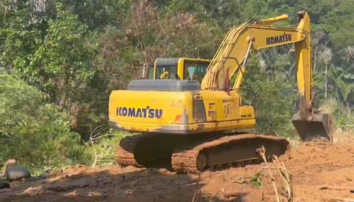 Kawasan Hutan di Bittuang Dirusak Pakai Alat Berat, Warga Desak KPH Saddang I Turun Tangan
